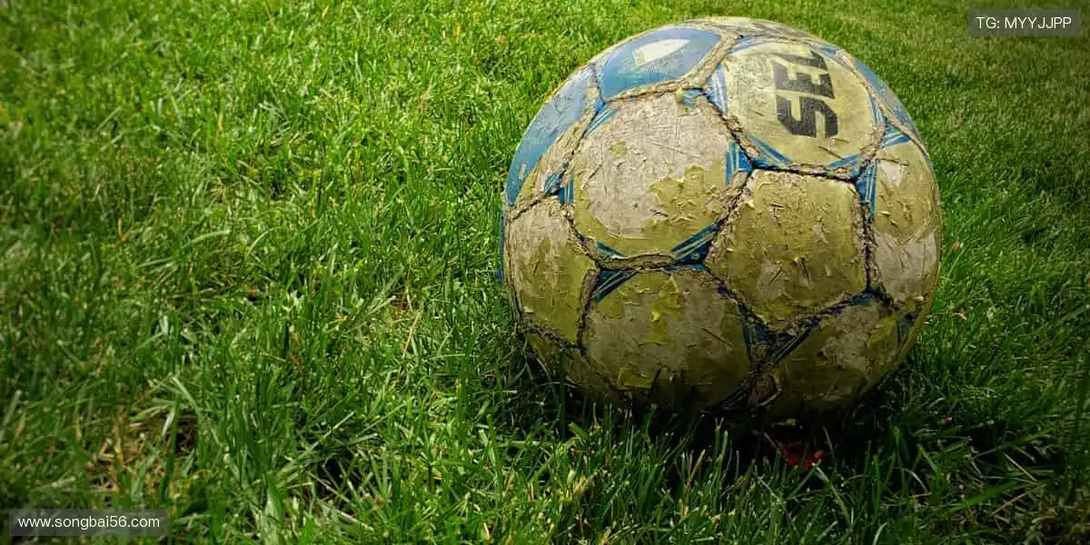 📱🎥 实时追踪，高清无死角！